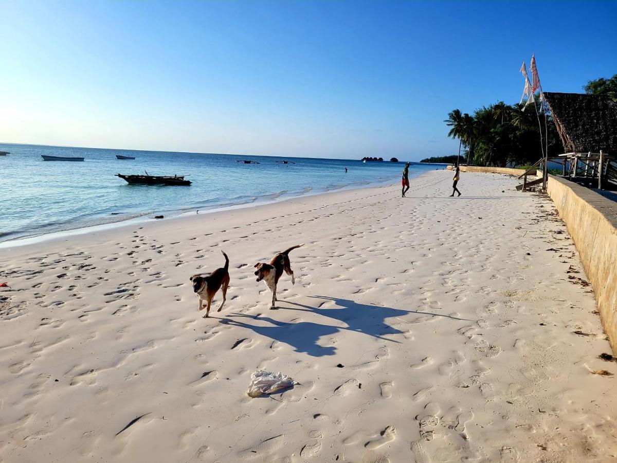 Emerald Dreams Boutique Hotel Michamvi Kae Ngoại thất bức ảnh